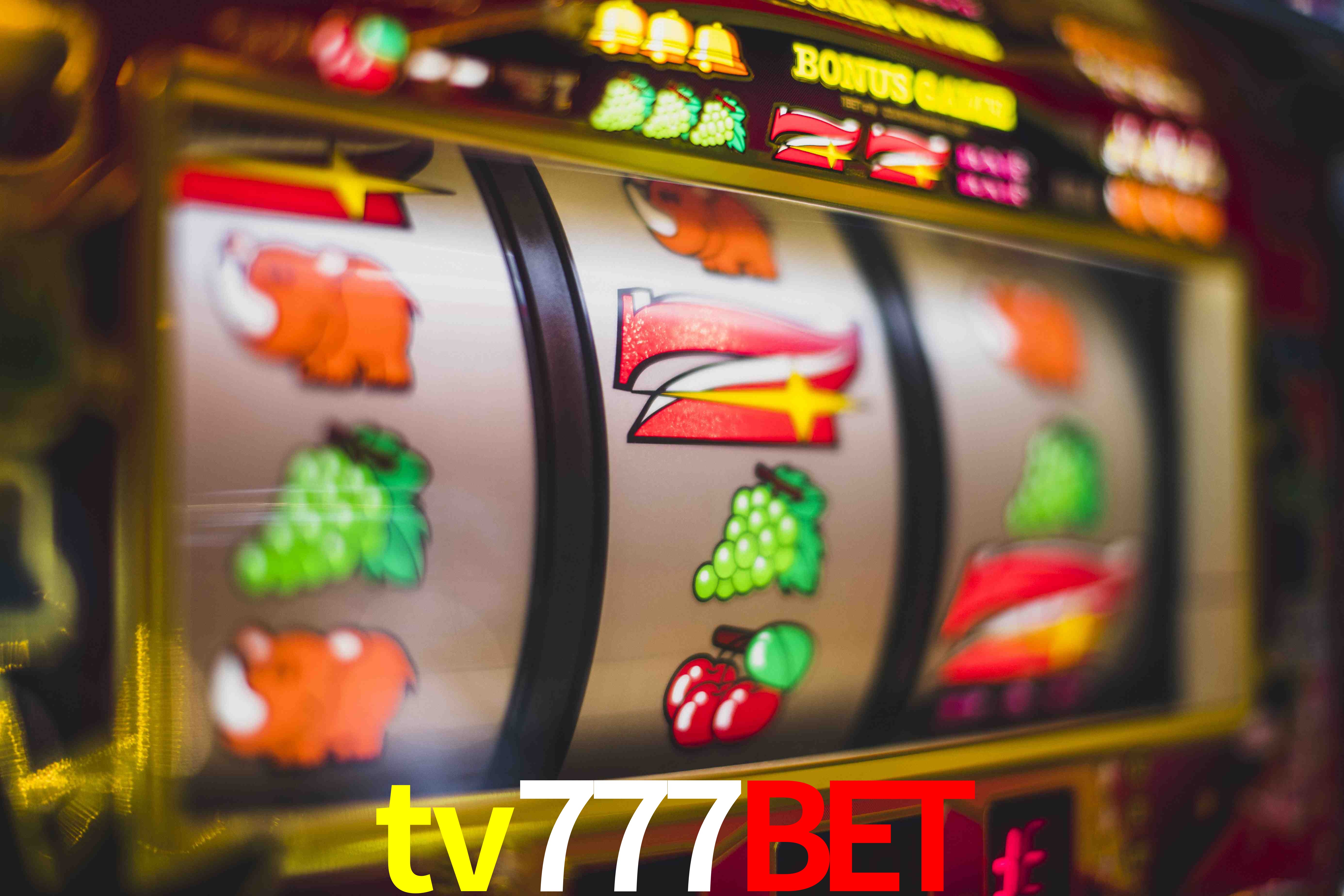 Football Betting tv777bet