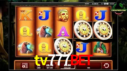 Jogos de mesa e apostas rápidas na tv777bet